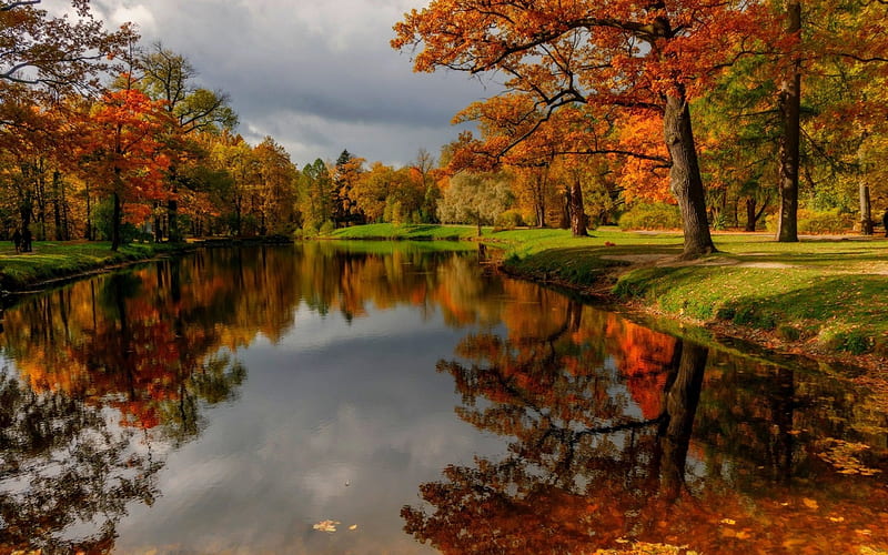 Autumn Lake, forest, autumn, nature, reflection, trees, lake, HD ...