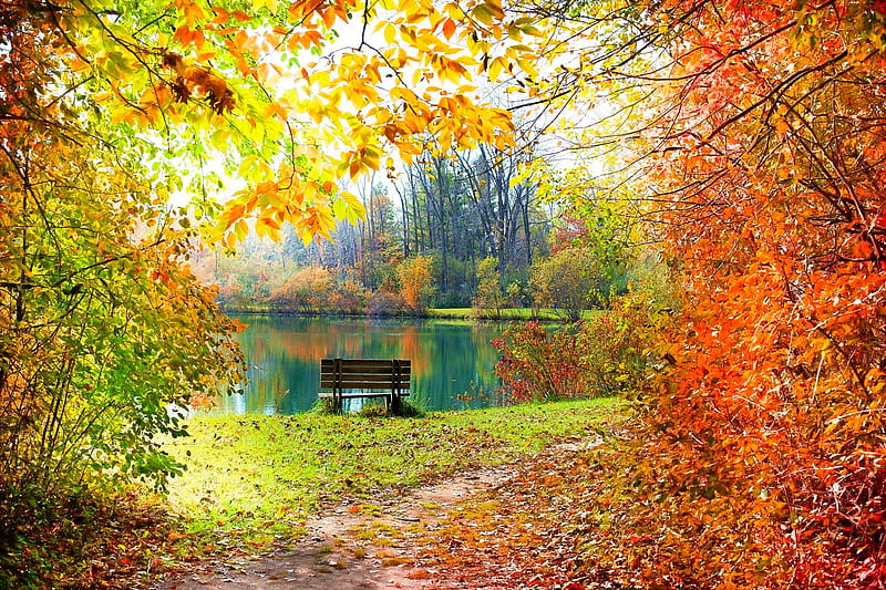 Autumn Wallpaper Anime Hd Background, 3d Background Rendering Brown Autumn  Leaves On A Park Bench In The Middle Of A Puddle Autumn Theme, Hd  Photography Photo Background Image And Wallpaper for Free