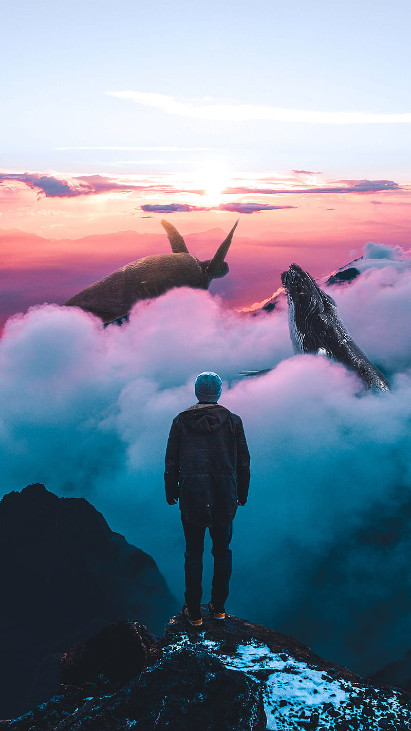 Higher Ground, M_A_Visuals, animals, clouds, man, turtle, whale, HD phone wallpaper