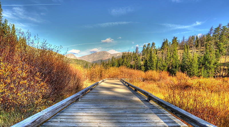 wonderful bridge over valley wetlands in autumn r, mountain, autumn, bridge, wetland, r, trees, valley, HD wallpaper