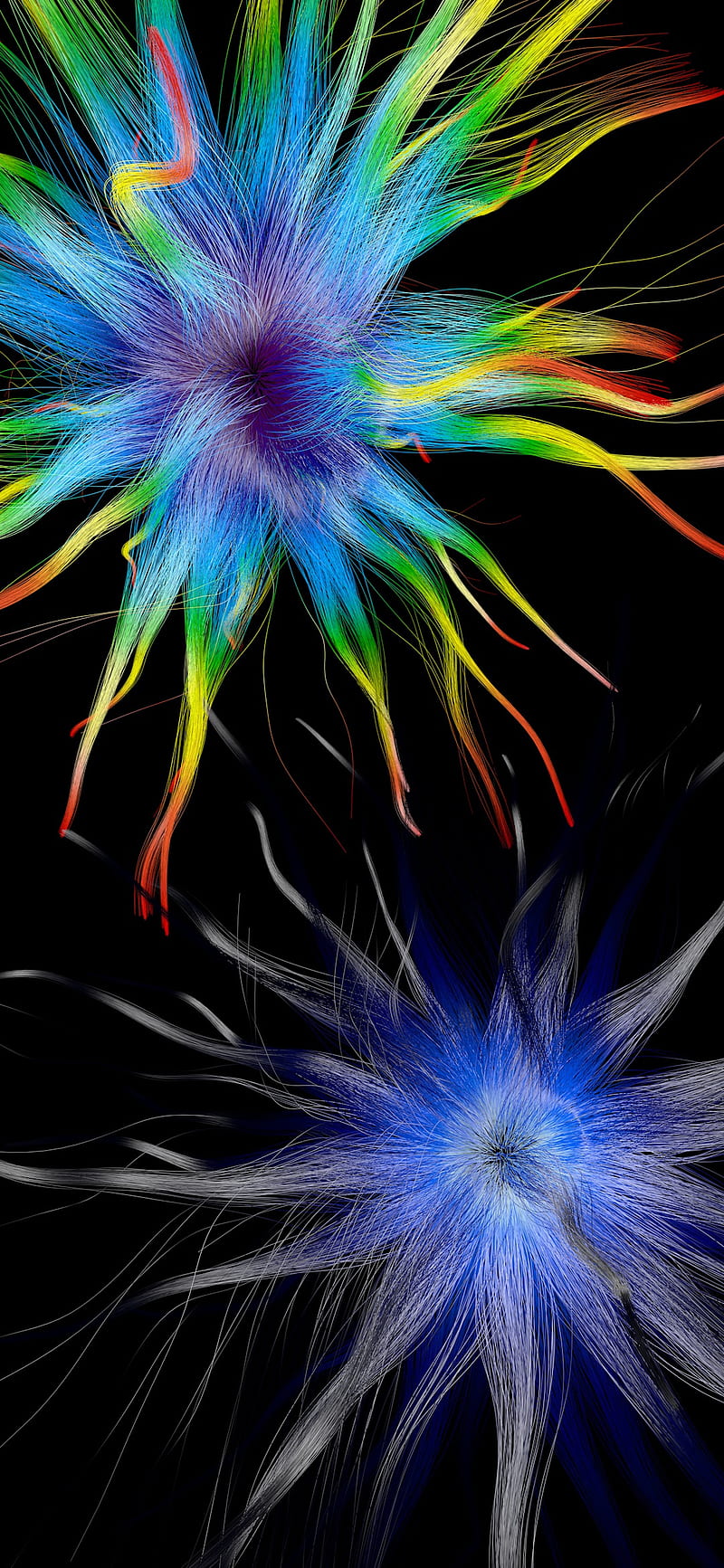 Color hair, 3d, best, colorful, colors, dark, feather, lights, rainbow, HD  phone wallpaper | Peakpx