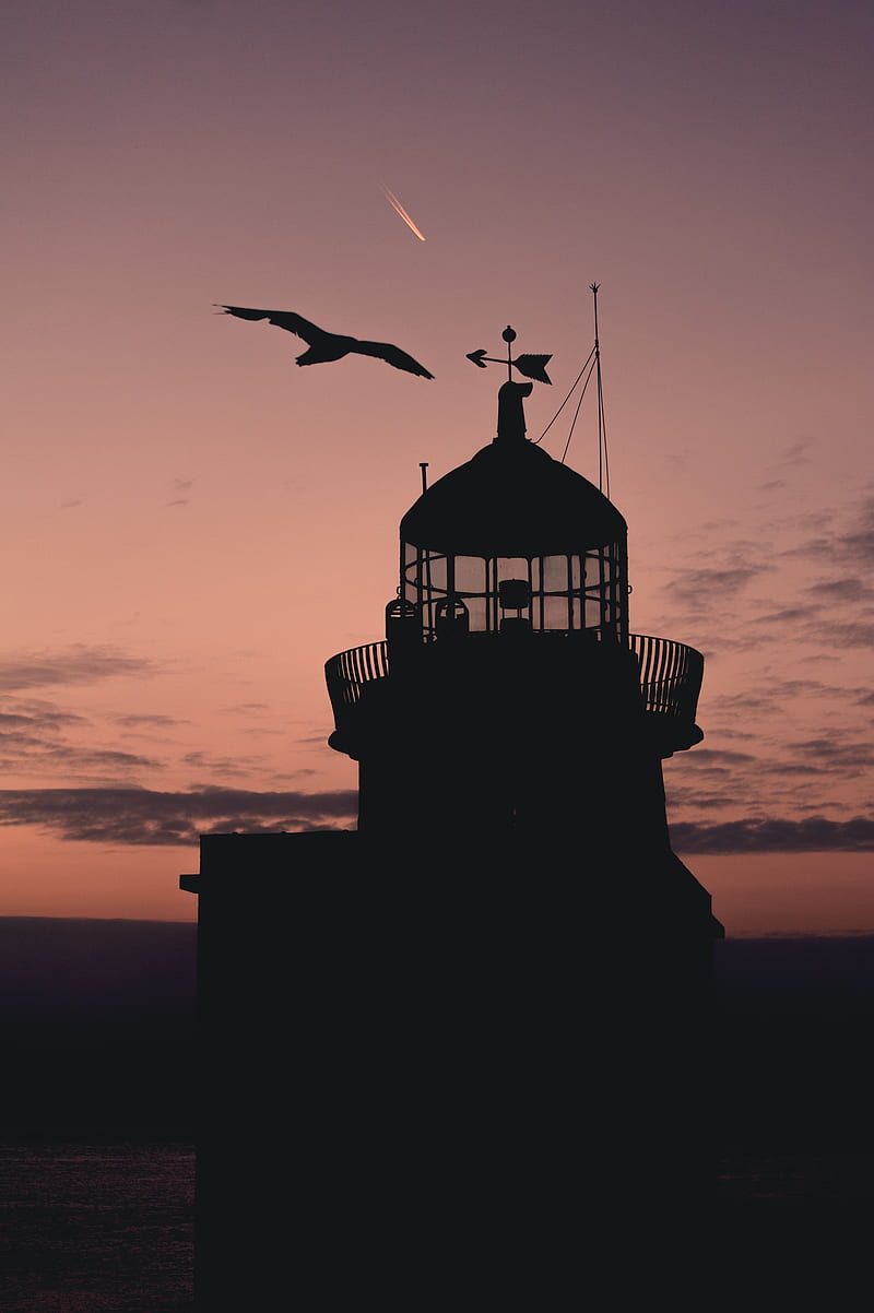 lighthouse, building, sunset, bird, silhouette, HD phone wallpaper