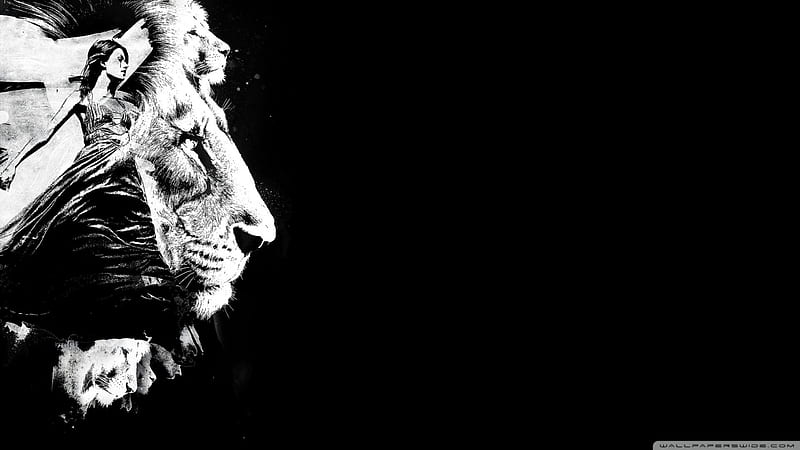 to the lions, cat, head, woman, lion, HD wallpaper