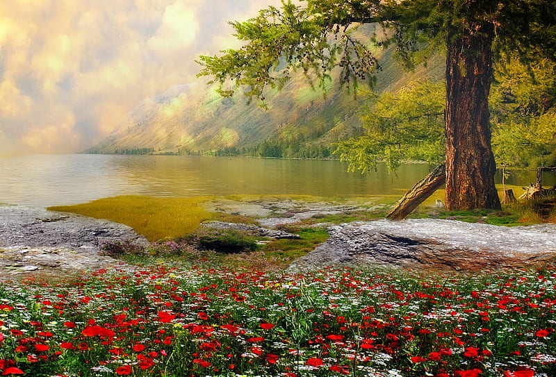 Mystic lake, lovely, bonito, lake, mystic, mountain, tree, tranquil, fantasy, serenity, wildflowers, reflection, enchanted, landscape, HD wallpaper