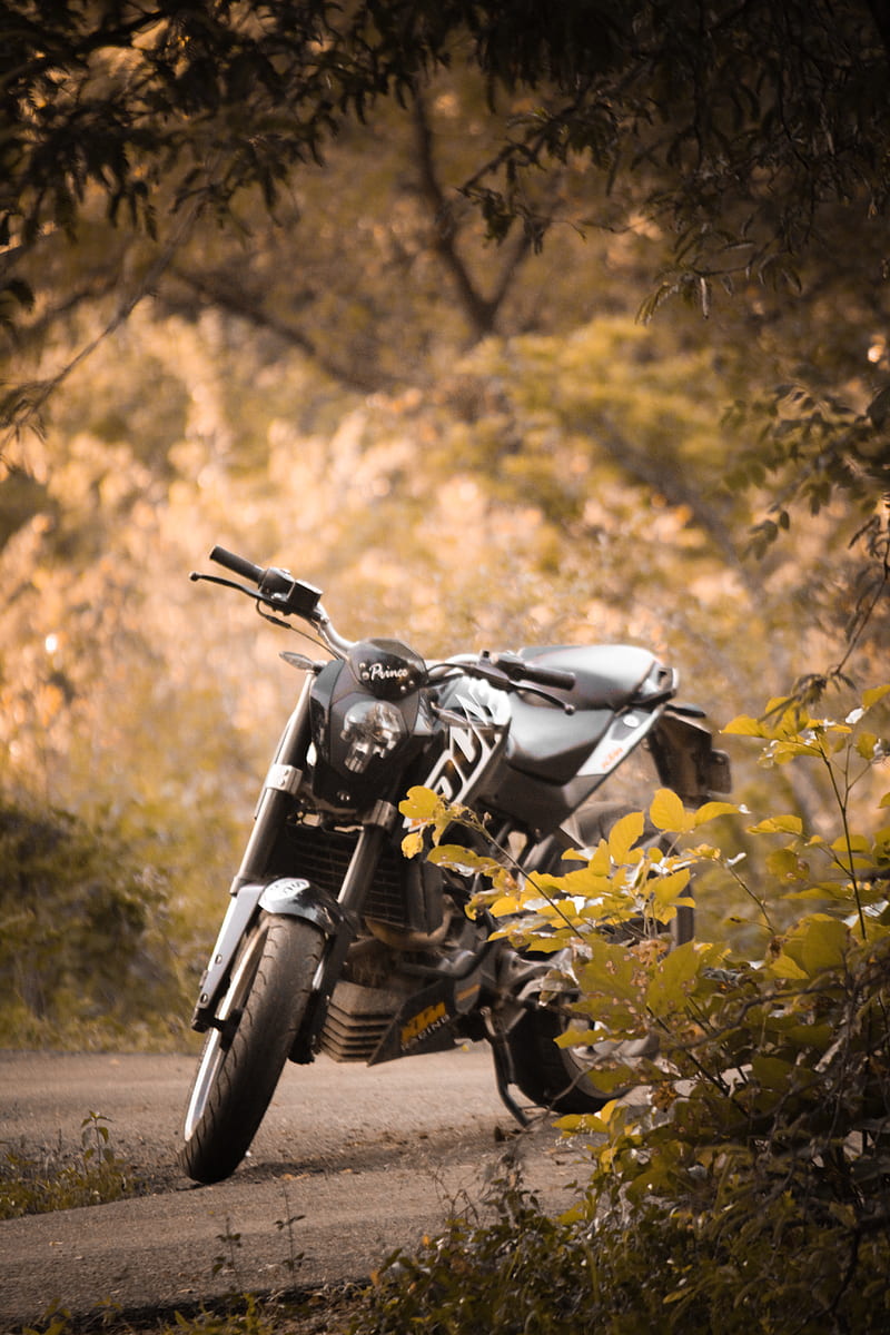 KTM Duke 200 РѕР±РѕРё