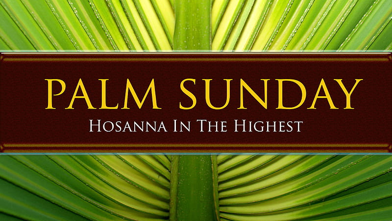 Palm Sunday Easter, HD wallpaper