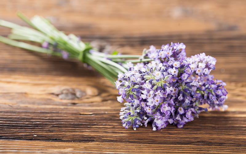 lavender, purple flowers, bouquet, wild flowers, HD wallpaper