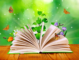 HD books and butterfly wallpapers | Peakpx