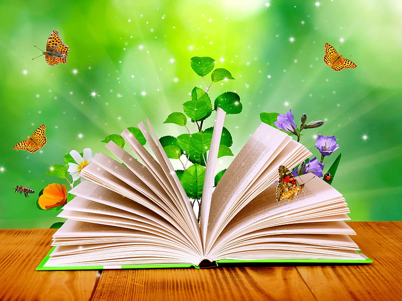 Fantasy book, pretty, pages, background, notebook, book, spring, fantasy,  butterfly, HD wallpaper | Peakpx