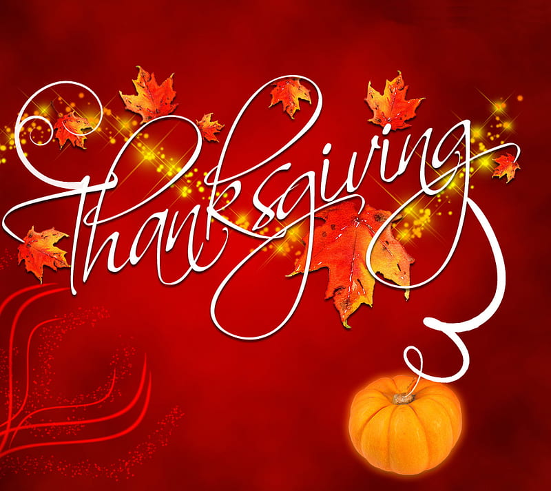 Thanksgiving, fall, holiday, HD wallpaper