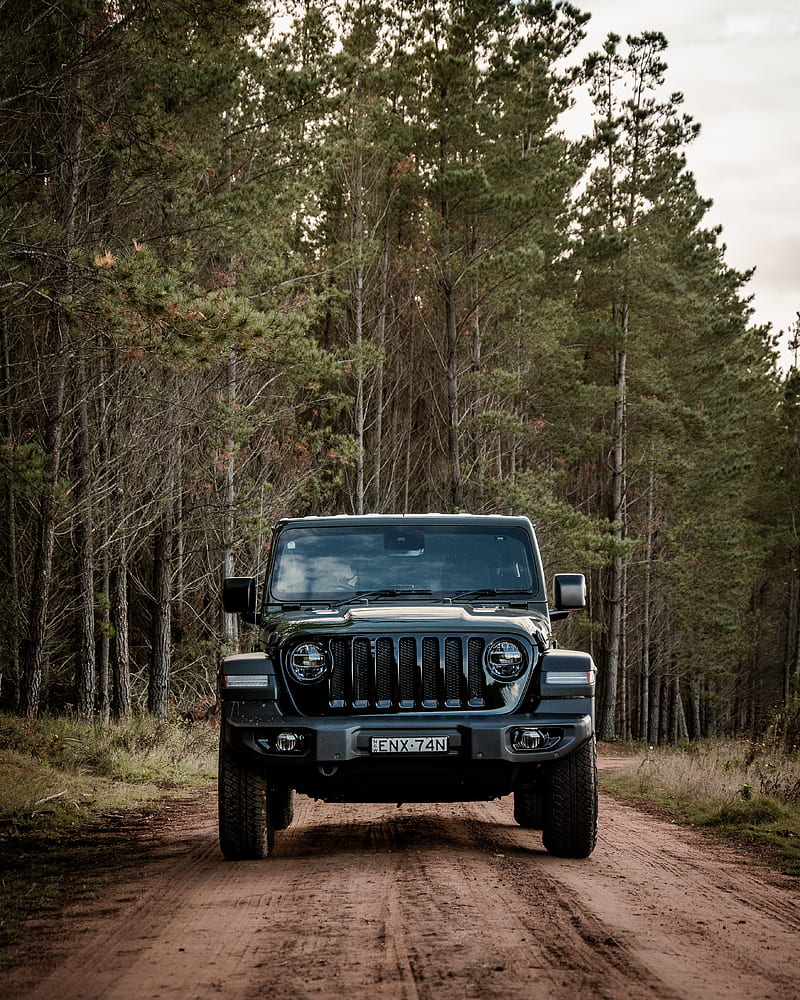 jeep wrangler, jeep, car, suv, black, forest, HD phone wallpaper