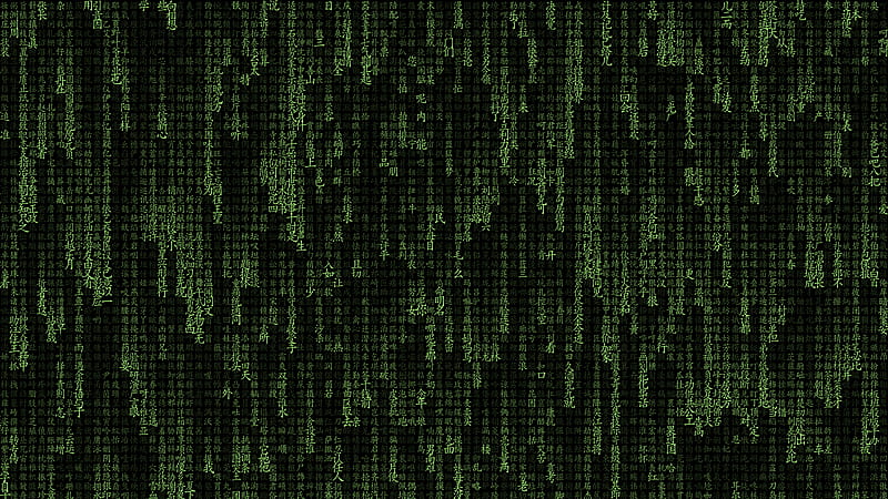 The Matrix Typography, matrix, computer, typography, hacker, ubuntu, linux, terminal, HD wallpaper