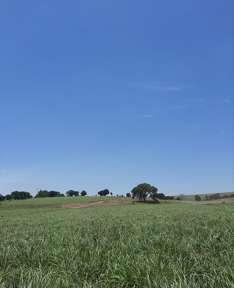 Paz, Sky, Naturaleza, Hd Phone Wallpaper 