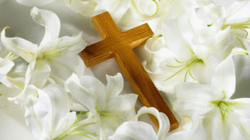 Cross Is On White Cloth Around White Flowers Cross, HD wallpaper