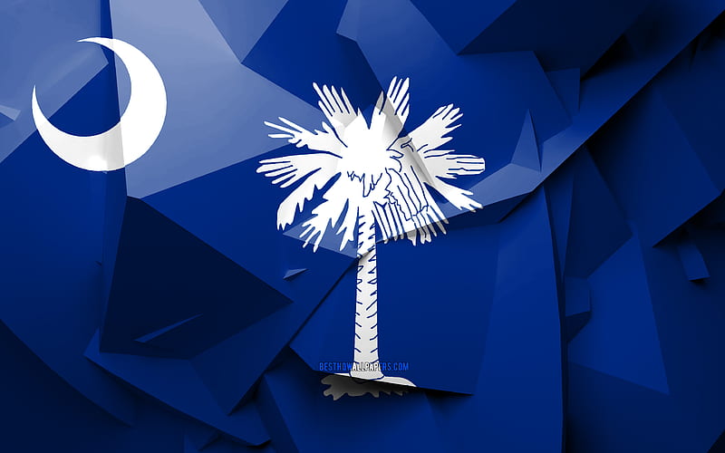 Flag of South Carolina, geometric art, american states, South Carolina flag, creative, South Carolina, administrative districts, South Carolina 3D flag, United States of America, North America, USA, HD wallpaper