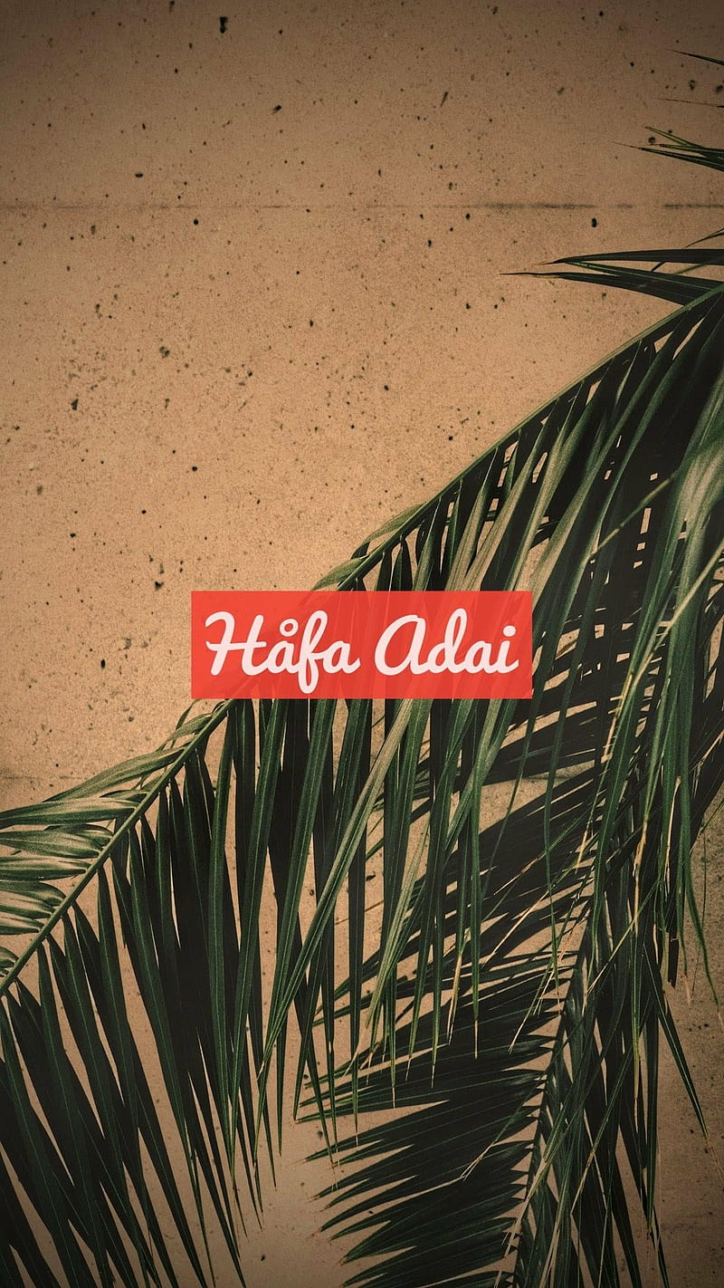 Guam, hafa adai, guahan, palm tree, HD phone wallpaper