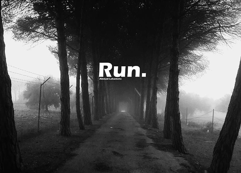 run, alone, autumn, autumn , brown, feelings, forest, HD wallpaper