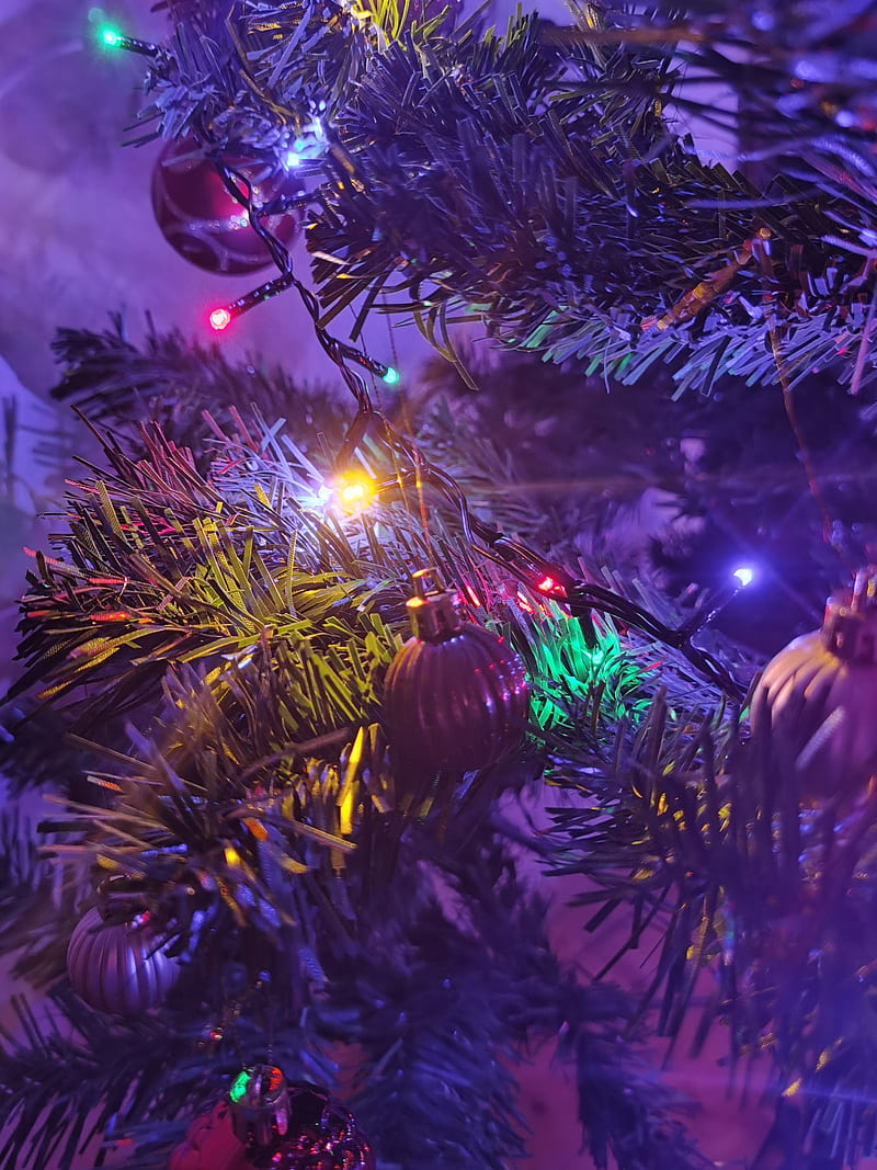 Cristmas tree , cristmas, tree, HD phone wallpaper