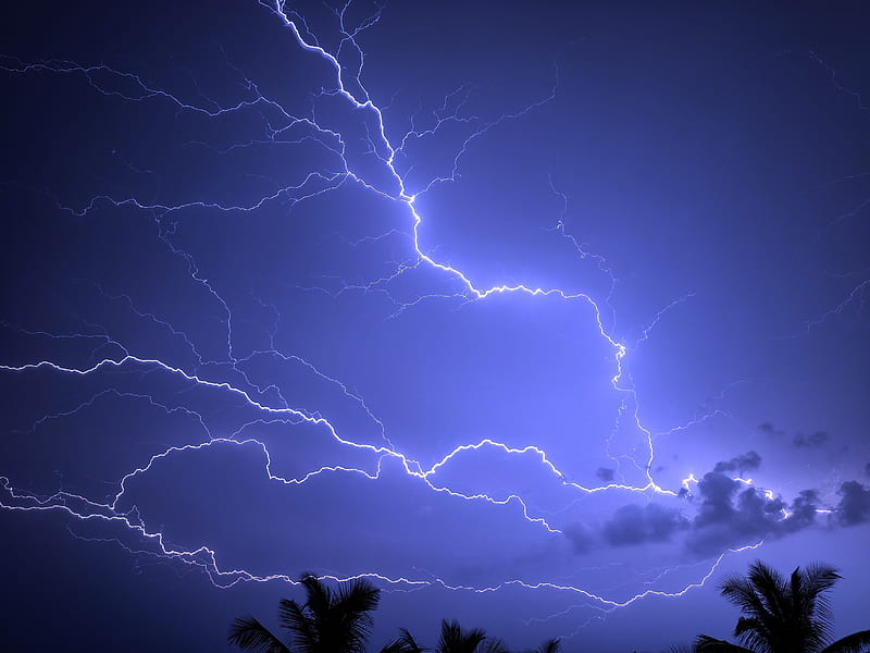 lightning, storm, palm, sky, HD wallpaper