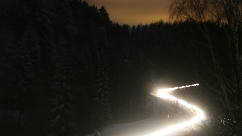 Cold Drive Home, drive, forest, woods, trees, lights, winter, highway, snow, night, HD wallpaper