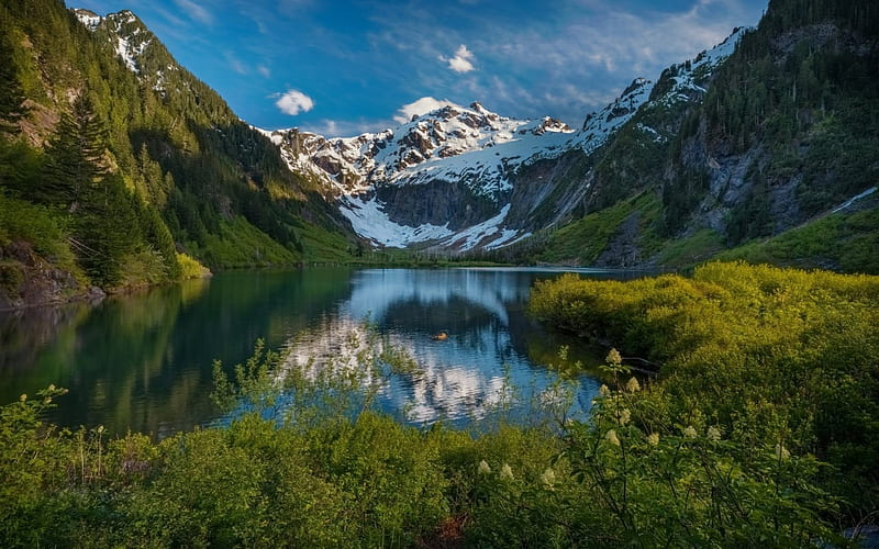 mountain lake, rocks, mountains, green grass, evening, summer, HD wallpaper