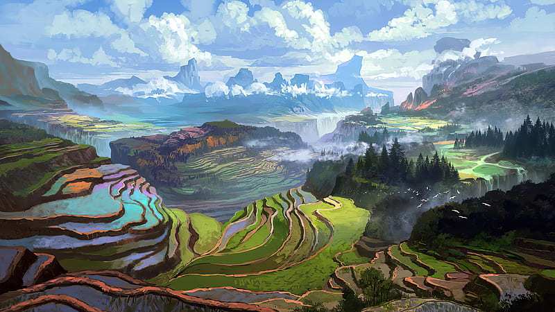Artistic, Landscape, Rice Paddy, HD wallpaper