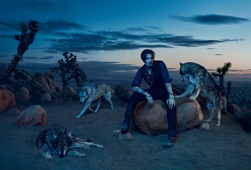 Johnny Depp, sauvage, man, add, lup, commercial, wolf, actor, blue, HD wallpaper | Peakpx