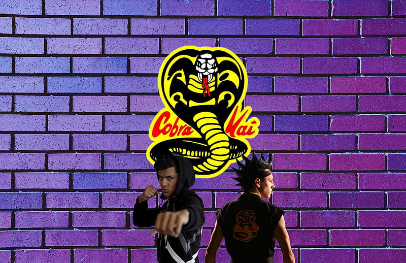 COBRA KAI, miguel and hawk cobra kai, HD wallpaper