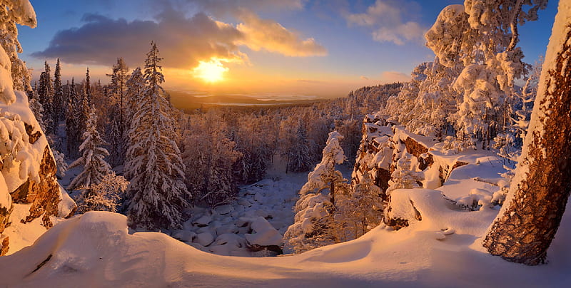 Golden winter sunset, snow, sunset, sky, winter, forest, sun, bonito, trees, mountain, gold, frost, HD wallpaper