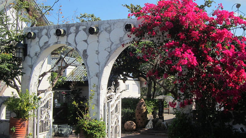 Villa, flower, gate, Entrance, HD wallpaper