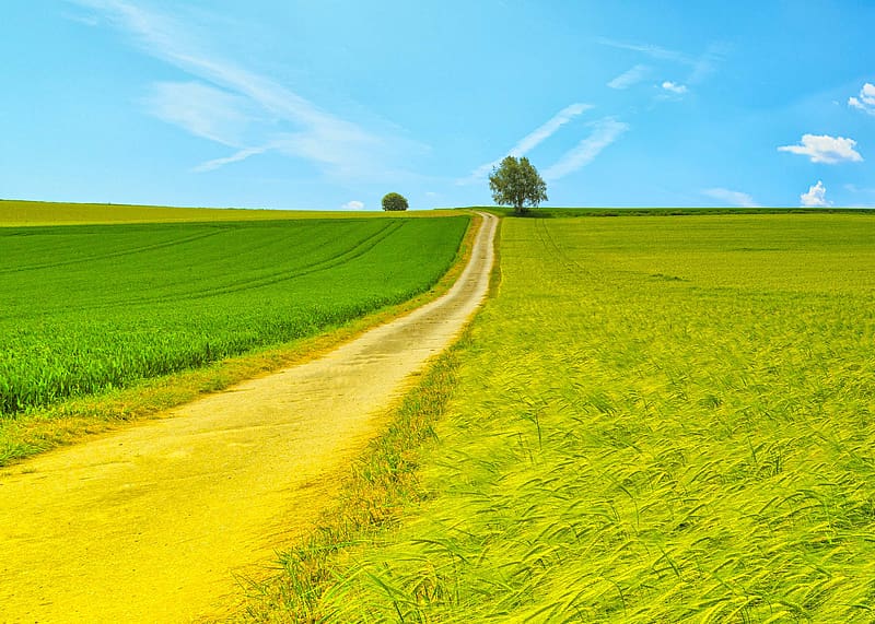 Field, Dirt Road, HD wallpaper | Peakpx