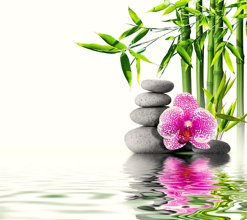 Relaxing Spa, bamboo, orchid, relax, spa, stones, water, zen, HD wallpaper