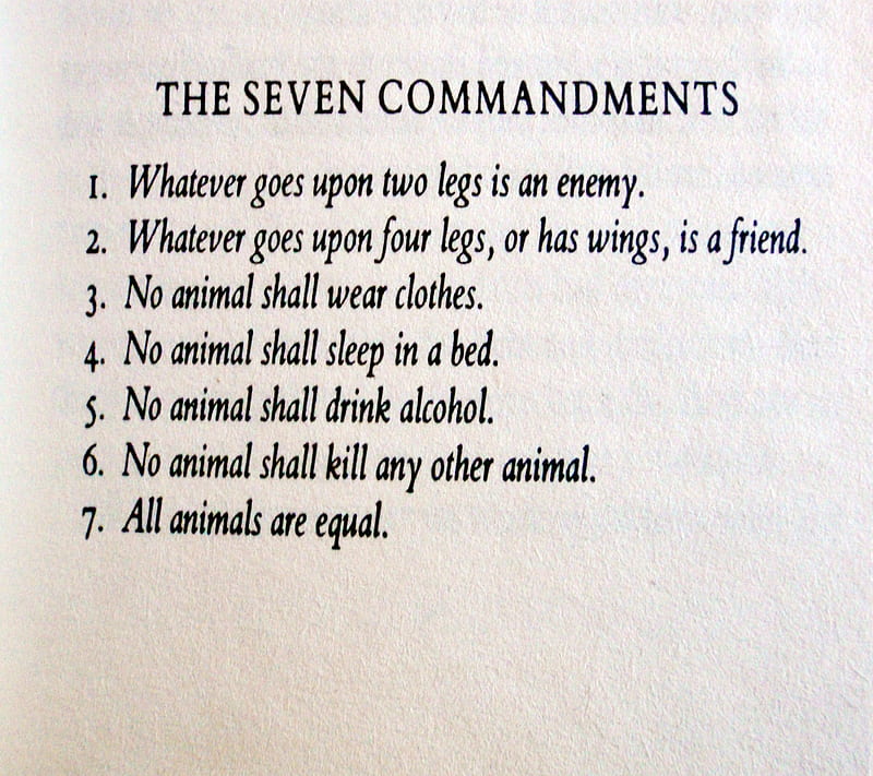 Seven Commandments, advise, animal, funny, human, quote, rule, HD wallpaper