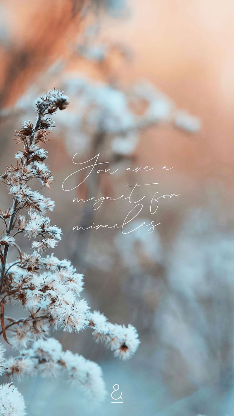 Discover new Designs every Month. JO & JUDY. iPhone winter, Flower  background, HD phone wallpaper | Peakpx