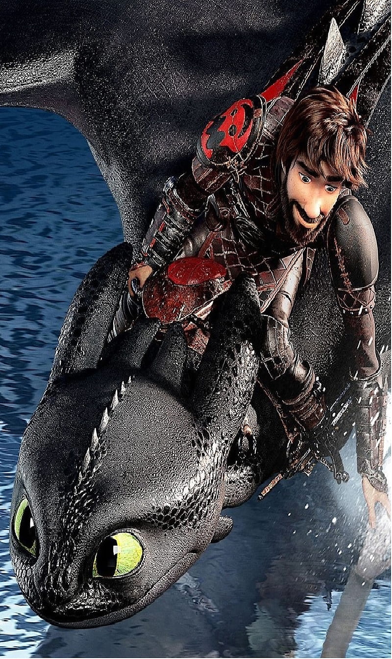 100 Hiccup How to Train Your Dragon HD Wallpapers and Backgrounds