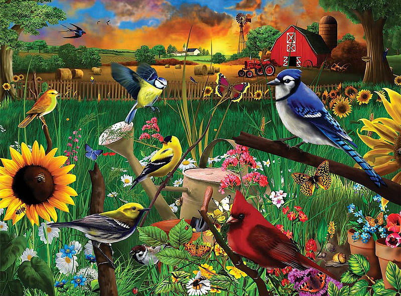 Sunflower Birds, tractor, chickadee, digital, bluejay, sunset, goldfinch, cardinal, barn, HD wallpaper