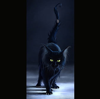 Hd Cute Black Witch Cat Wallpapers Peakpx