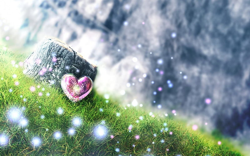 Love, pink, grass, heart, HD wallpaper