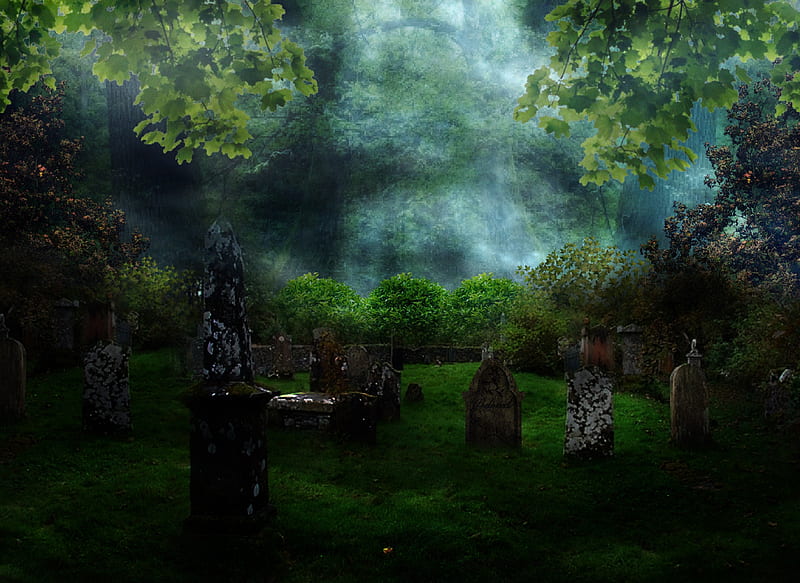 ✼.GraveYard.✼, grass, gravestone, premade BG, ground terrain, creepy, leaves, stock , flowers, graveyard, forests, resources, cemetery, tombstones, places, creative pre-made, trees, plants, backgrounds, nature, skull, HD wallpaper