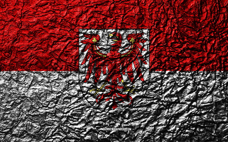 Flag of Brandenburg stone texture, waves texture, Brandenburg flag, German state, Brandenburg, Germany, stone background, administrative districts, States of Germany, HD wallpaper