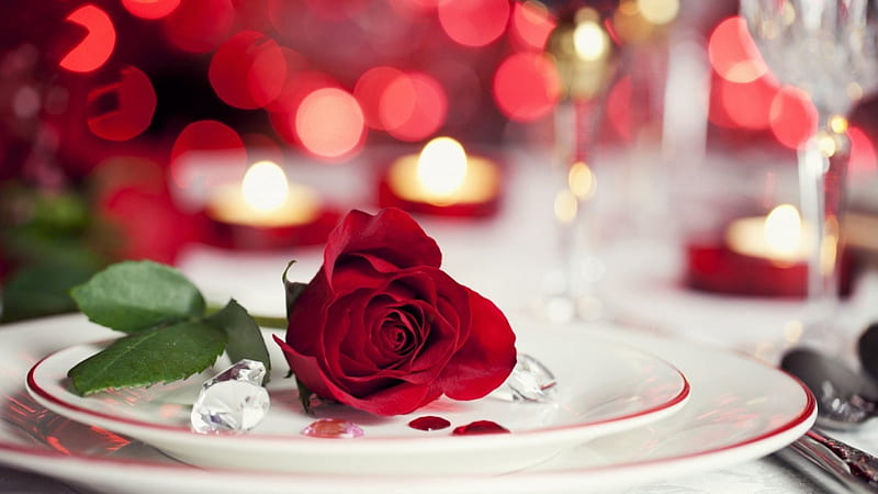 ROSE & CANDLES FOR TWO, valentines day, dinner, romantic, romance, rose, food plates, roses, candles, red rose, love, HD wallpaper