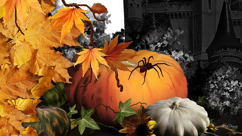 Halloween Haunt, fall, autumn, harvest, maple, halloween, spider, squash, creepy, leaves, gourd, spooky, pumpkin, HD wallpaper