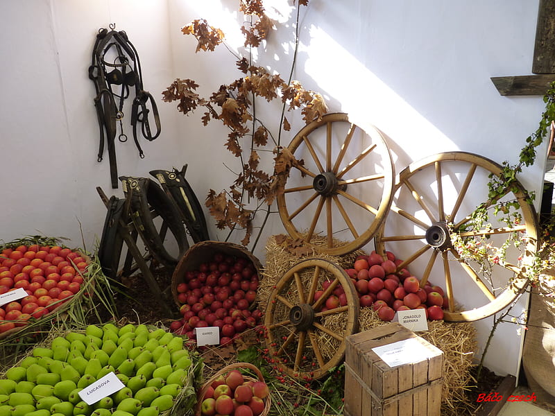 exhibition, fruit, still life, decorations, vegetables, HD wallpaper