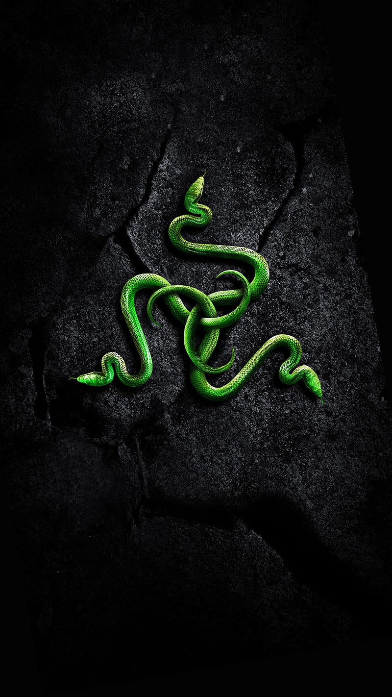 Razer, green, logo, snake, stone, HD phone wallpaper Peakpx