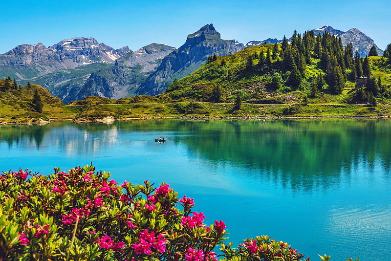 Lake in Swiss Alps, serenity, canoe, Switzerland, reflection, lake, Alps, bonito, mountain, boat, wildflowers, tranquility, HD wallpaper
