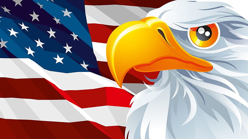 Dom, estados unidos, águila, america, día de los veteranos, bandera, estados  unidos, Fondo de pantalla HD | Peakpx