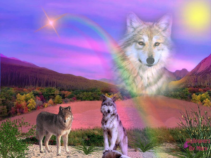 Rainbows And Wolves, Water, Mountains, Lakes, Wolf, Wolves, Animals, HD wallpaper