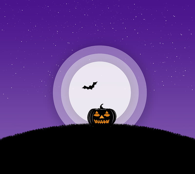 Jack-O-Lantern, bats, halloween, landscape, material, night, HD