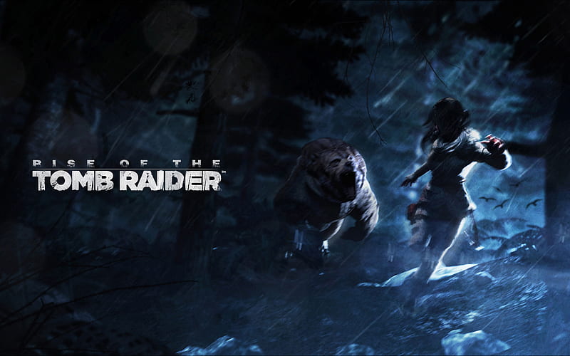 Rise Of The Tomb Raidel Artwork 2, tomb-raider, games, xbox-games, ps-games, pc-games, HD wallpaper