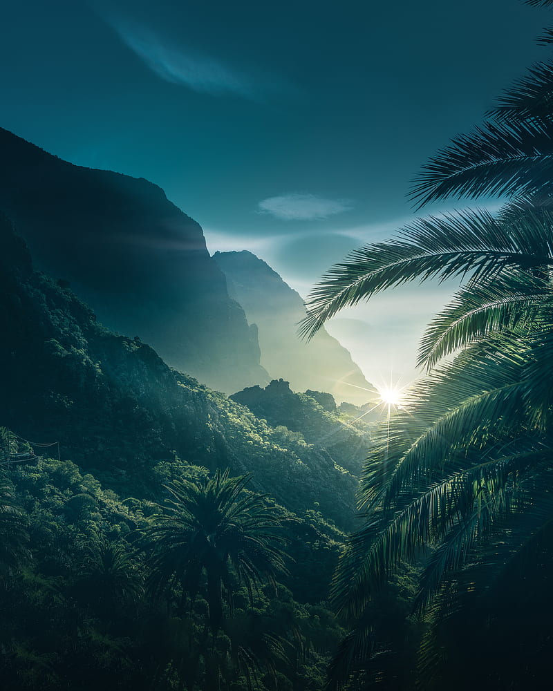 palms, mountains, sunlight, sky, HD phone wallpaper